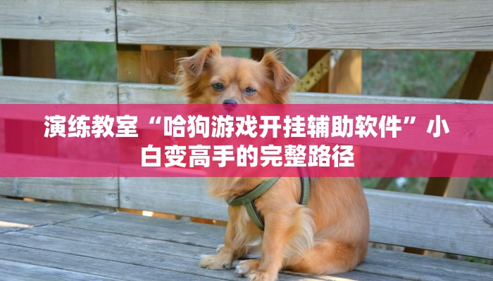 行业规范“微乐麻将必赢神器安装”从理解到创造的关键一跃 行业规范“微乐麻将必赢神器安装”从理解到创造的关键一跃