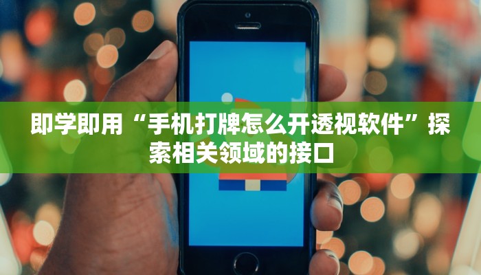 即学即用“手机打牌怎么开透视软件”探索相关领域的接口