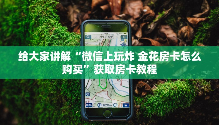 给大家讲解“微信链接炸 金花房卡联系方式”详细房卡教程